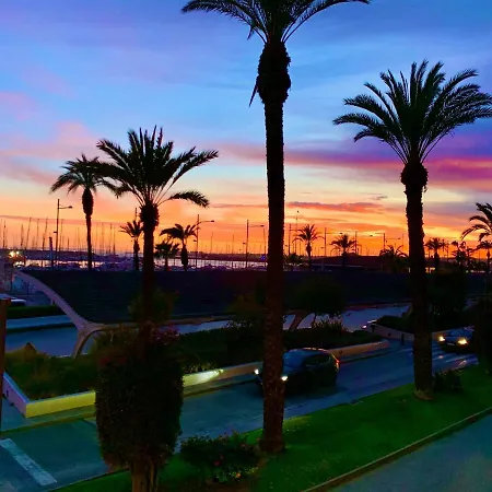 Palmeras Puerto En *