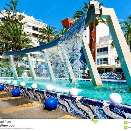 Palmeras Puerto En Apartamento *